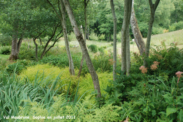 Val Maubrune: les saules